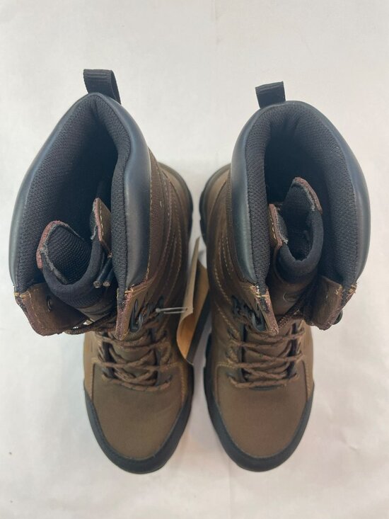 Irish Setter 10\